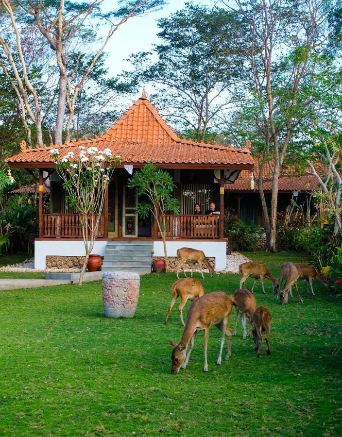 Plataran Menjangan Resort And Spa - Chse Certified Banyuwedang Стая снимка